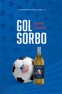 Woodbridge World Cup Spanish POS Case Talker